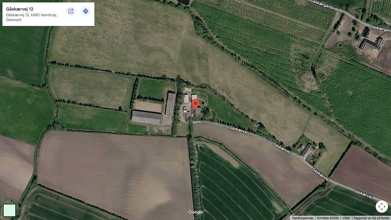 Satellitkort over Gåskærvej 12, 6580 Vamdrup
